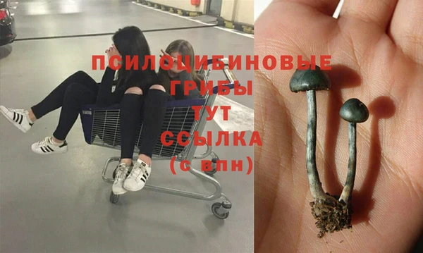ешки Белоозёрский