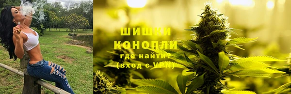 дмт Струнино