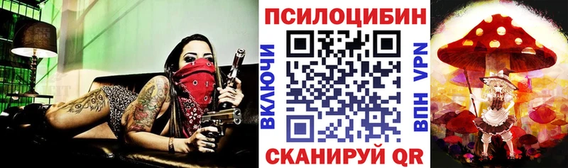 закладка  Куйбышев  Галлюциногенные грибы ЛСД 